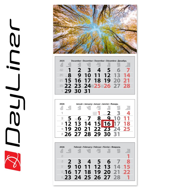 Medium Classic, 3 tömbös 3 hónapos speditőr naptár - Erdő fejrésszel